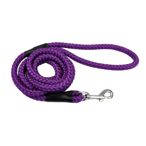 Coastal Rope Dog Leash, Purple